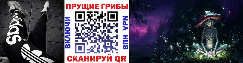 Галлюциногенные грибы GOLDEN TEACHER Староминская