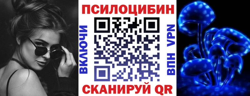 где найти   Староминская  Псилоцибиновые грибы Psilocybine cubensis 