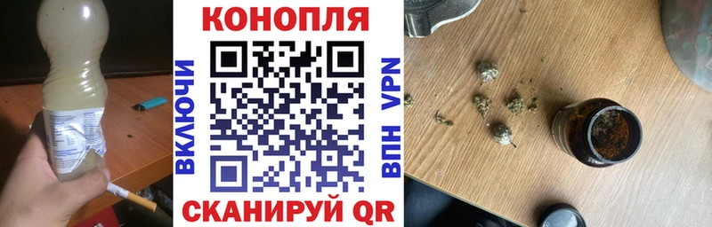 Канабис OG Kush  Староминская 